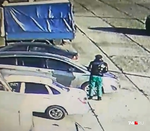 Так Лев выглядел в день пропажи Так Лев выглядел в день пропажи