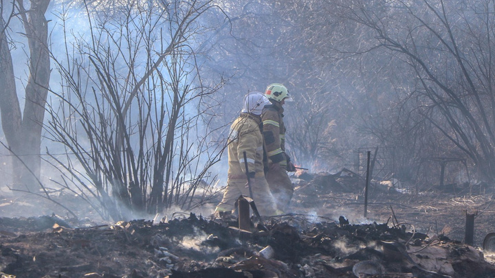В Нижегородской области введен режим ЧС из-за высокой пожароопасности
