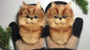 Рукавицы-коты и шишки к платью: 15 мастерских Поморья с необычными новогодними подарками