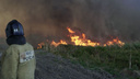 В нескольких районах Ростовской области снова возник риск природных пожаров