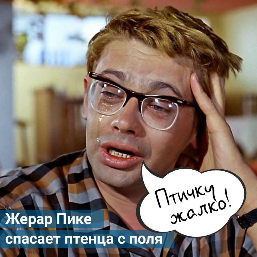Так мог бы выглядеть киношный Жерар Пике, который во время игры с Ираном поднял с поля птичку и помог ей отправиться в полёт Так мог бы выглядеть киношный Жерар Пике, который во время игры с Ираном поднял с поля птичку и помог ей отправиться в полёт