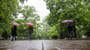 Облачно и дождливо: какая погода будет в Ростове на выходных