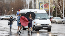 Погрелись — и хватит: летнюю погоду в Волгоградской области сменят дожди и сильный ветер