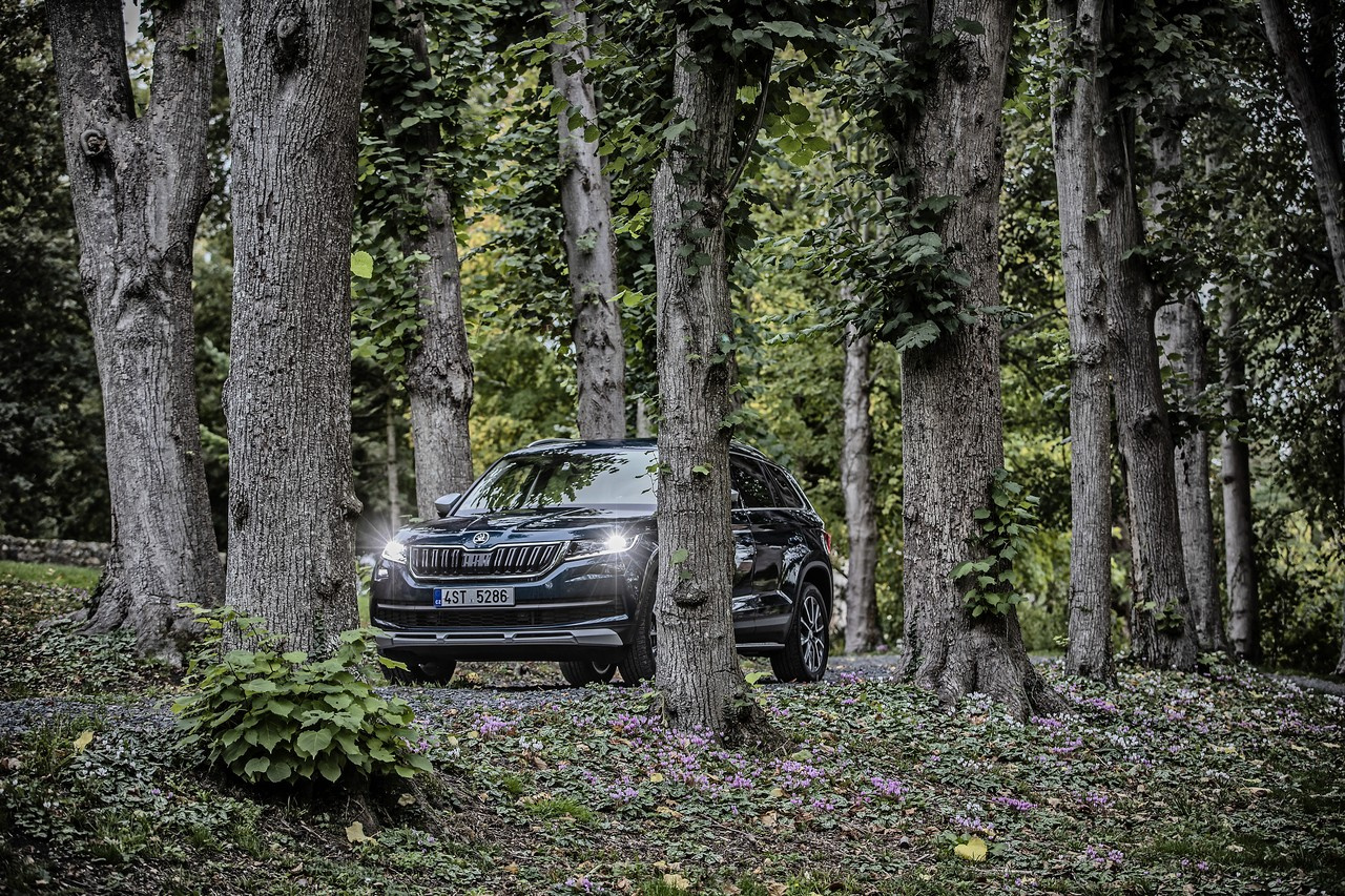 Kodiaq Scout имеет увеличенный до 194 мм просвет, защиту порогов и двигателя, а также полный привод Kodiaq Scout имеет увеличенный до 194 мм просвет, защиту порогов и двигателя, а также полный привод