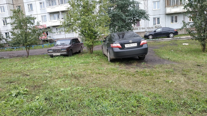 Красноярские депутаты предложили ввести штраф в 2000 рублей для автохамов за парковку на газоне