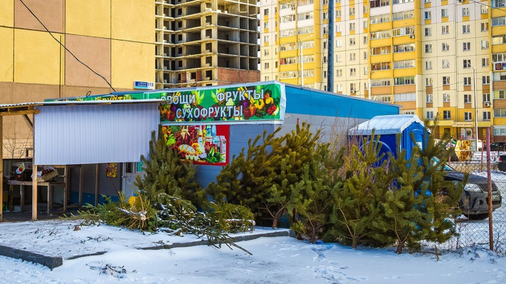 «Отделяют зелёное от незелёного»: в Челябинске завершают ликвидацию ёлочных свалок
