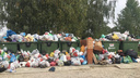 Власти нашли виноватых в том, что ярославские дворы оказались завалены мусором