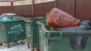 Регоператор попросил жителей Самары не выбрасывать мусор в кучи