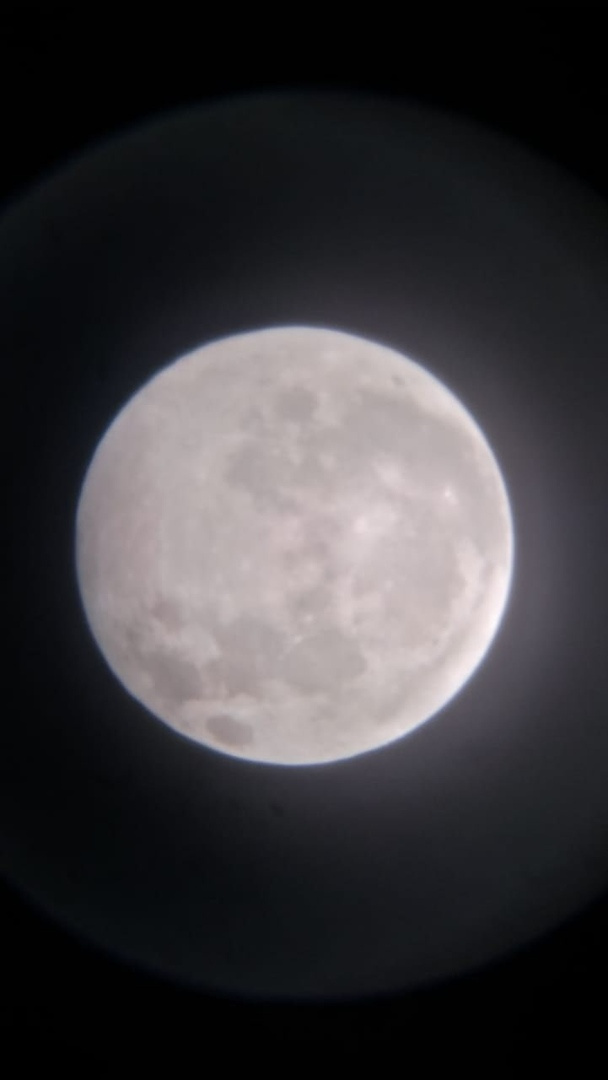 «Теневое лунное затмение 11 января 2020 года, дома с телескопа», — пишет сибирячка Татьяна Новикова