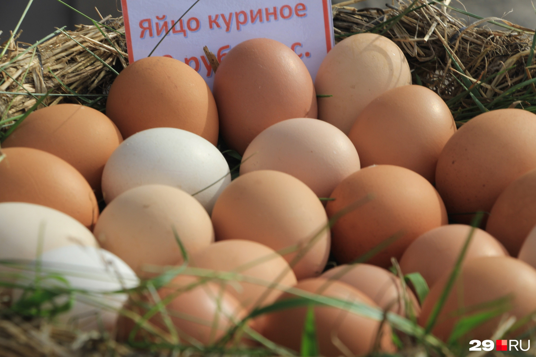 Нет бесполезных яиц — есть странные мифы Нет бесполезных яиц — есть странные мифы