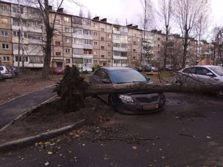 Держитесь, автомобилисты! Держитесь, автомобилисты!
