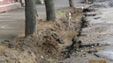 «Газоны превращаются в парковки для машин»: в Ярославле во время ремонта дорог повредили деревья