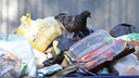 «Подойдём индивидуально»: челябинские власти назвали сроки перерасчёта за вывоз мусора