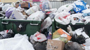 «Будем ждать нашествия крыс?»: жители Челябинска жалуются на новогодний мусорный коллапс