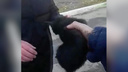 Видео: чёрный котёнок забрался под капот машины и застрял — выручать его приехали спасатели