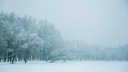 «Мороз окрепнет»: синоптики напугали ярославцев суровым арктическим холодом