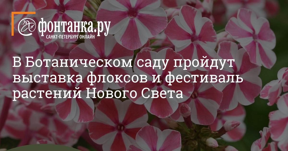 Скачать Порно Видео Публичный секс в ботаническом саду