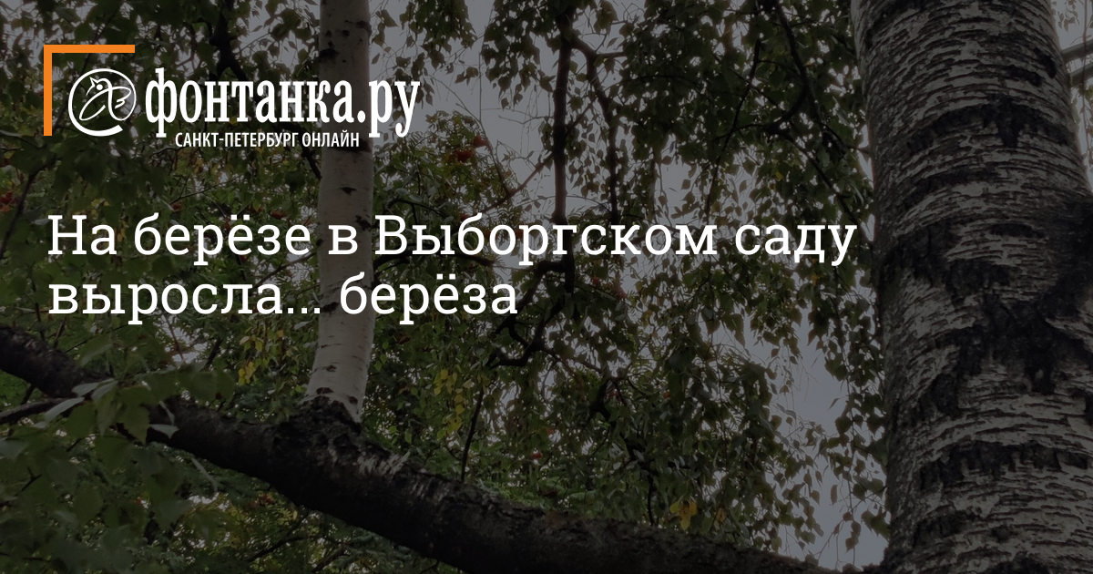 украшение сада к новому году своими руками | Дзен