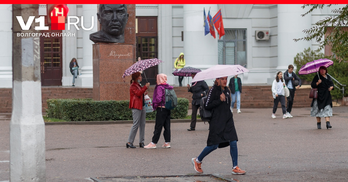 Волонтерство во фролово. Неделя в волгограде. Выборы 2023 в россии. Неделя в волгограде. Зависимы города россии.
