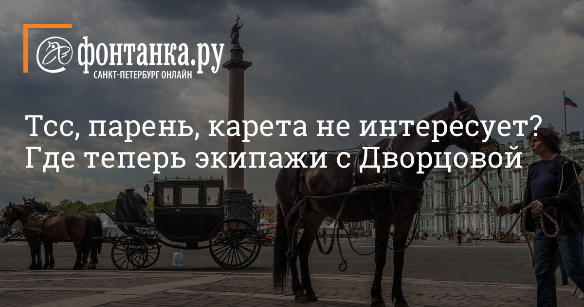 Галопом по Дворцовой: как работает «конный бизнес» в Петербурге