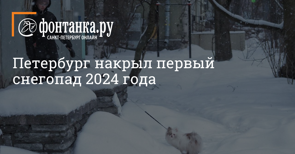 Общество снега 2024