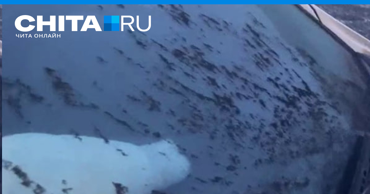 Комментарии к материалу Автомобиль, припаркованный по улице Нечаева ...