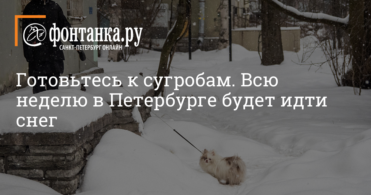 «Больше ни ногой»: 10 причин не тратить отпуск на юг России