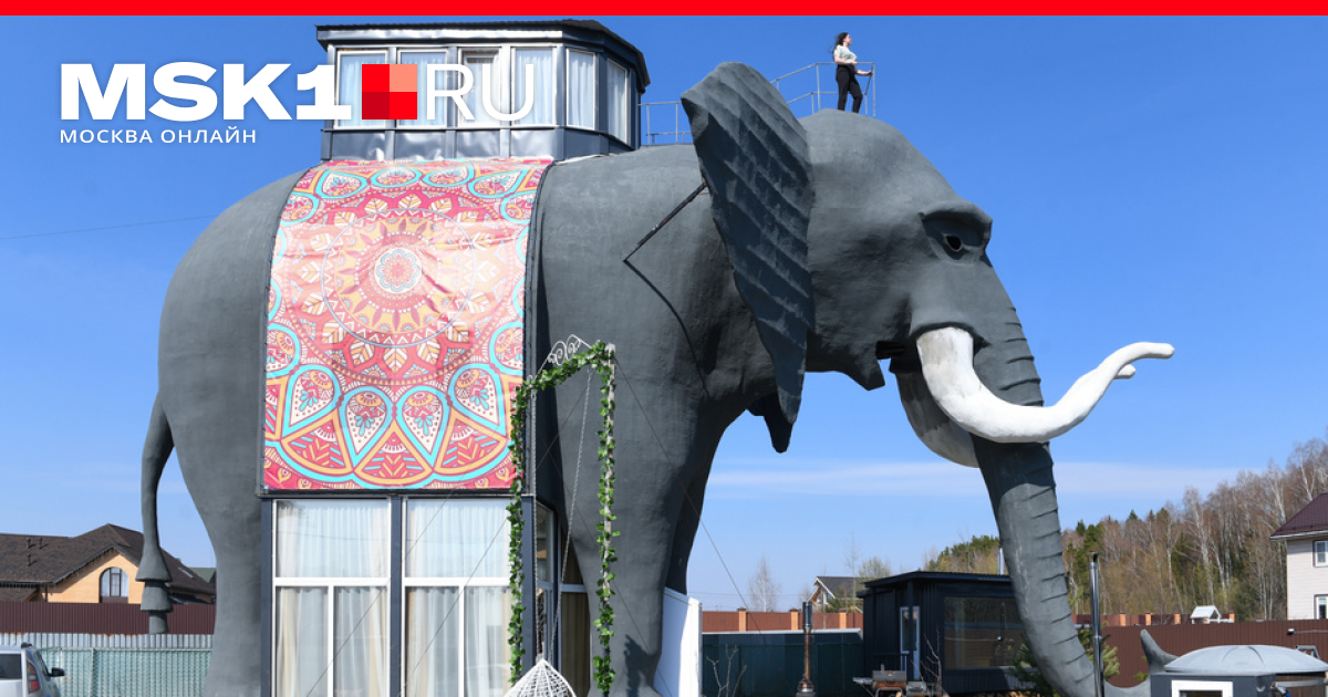 Дом слон в Подмосковье внутри (24 фото)