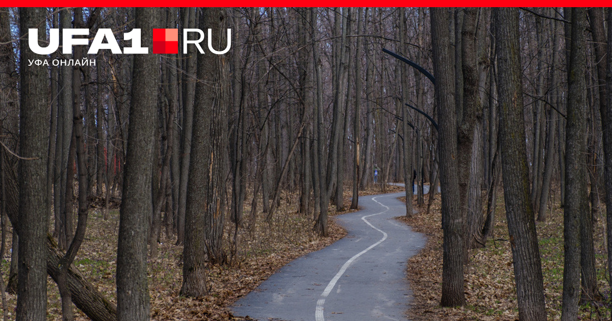 Тропа уфа. Тропа здоровья уфа. Тропа уфа. Тропа здоровья. Тропа уфа.