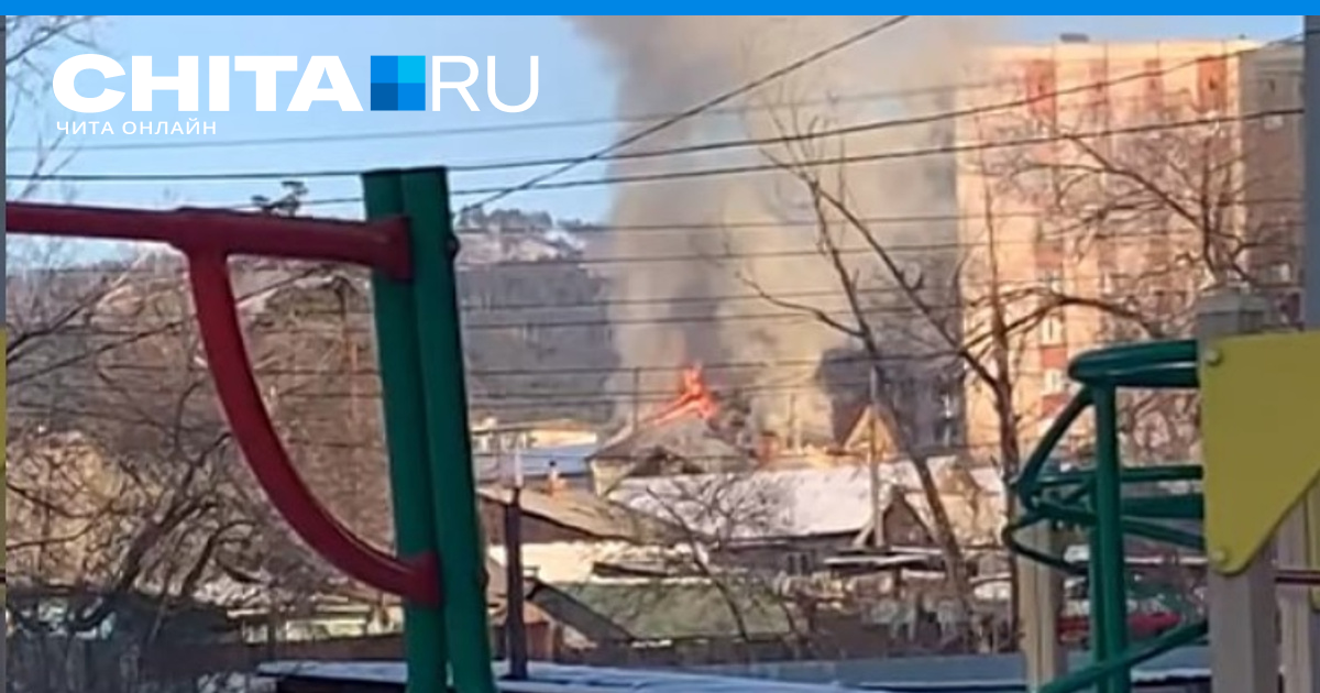 заведующую детского сада уволили. заведующая в садике. мошенничество заведующей детского сада в селе кимильтей. петрова екатерина ивановна заведующая садом отзывы. саратов заведующий детским садом.