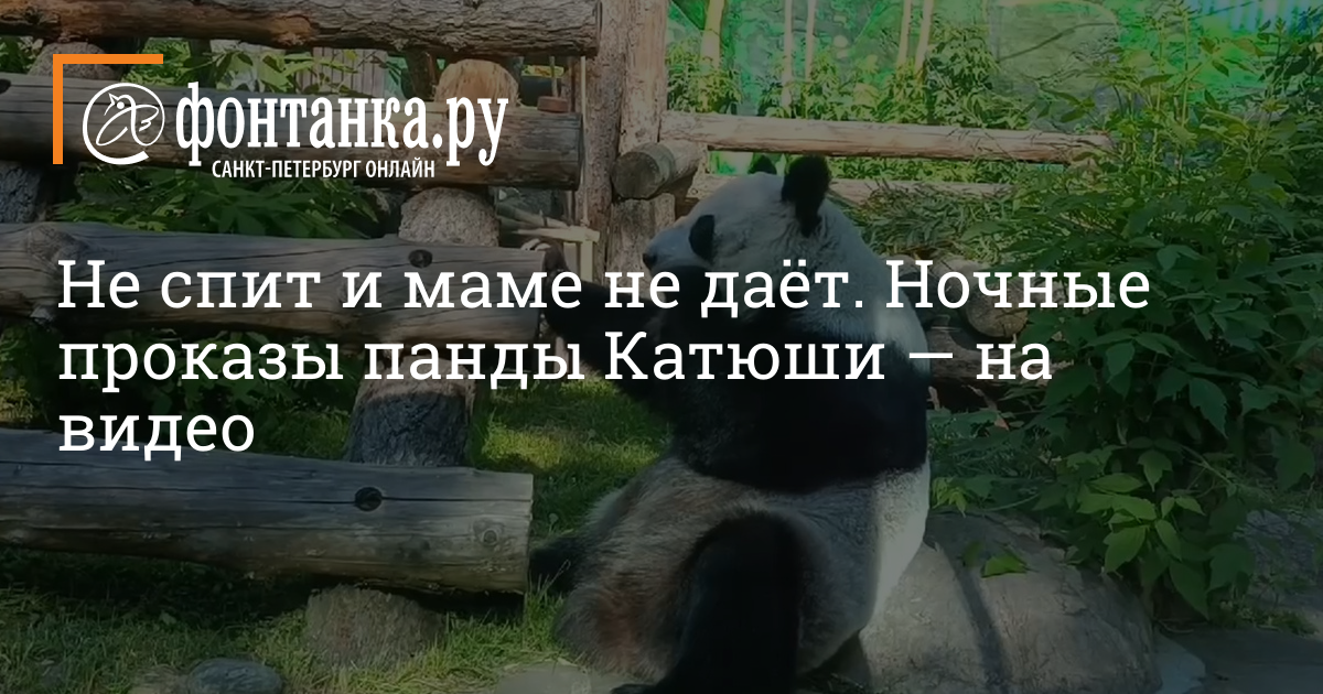 Встреча с рабочей группой по анализу деятельности Национальной академии наук Беларуси