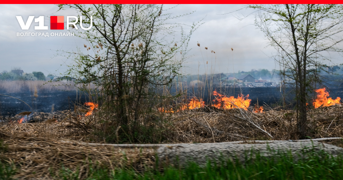 Пойма реки царица волгоград фото