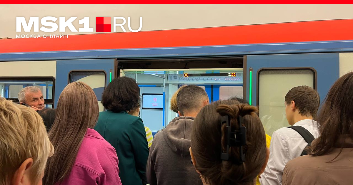 Движение поездов на фиолетовой ветке метро Москвы ввели в график после сбоя
