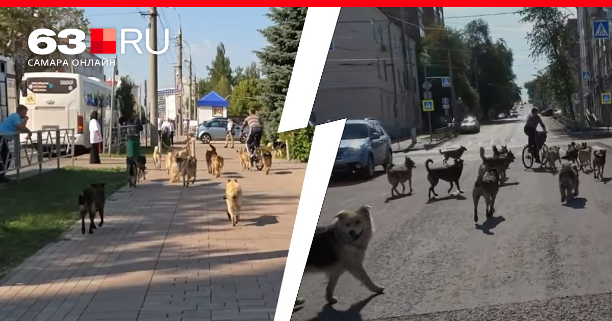 В самаре на набережной