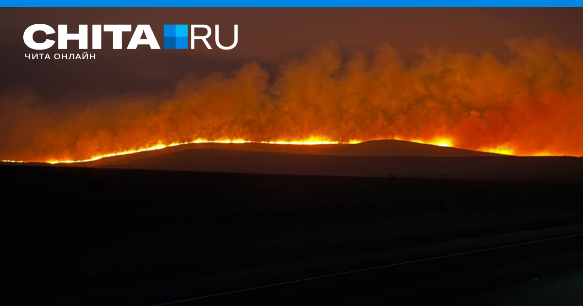 Горит лагуна. Пожар в Борзе 2023. Пожары в Забайкальском крае. Пожары в Забайкальском крае 2023. Пожары в Забайкальском крае сейчас.