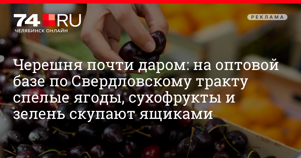 Где купить дешевые овощи, фрукты и ягоды по оптовым ценам - 25 мая 2023 ...