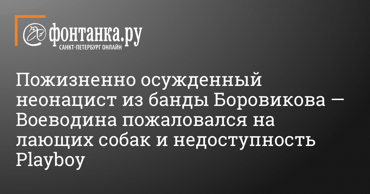 Сегодня в Петербурге огласят приговор членам группировки Воеводина-Боровикова | АиФ Псков