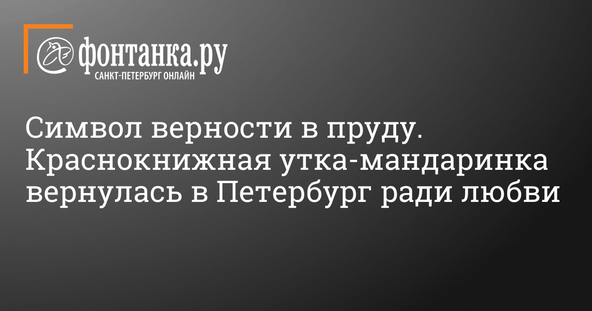 Порно рассказы на природе – читать про секс | pornwala.ru