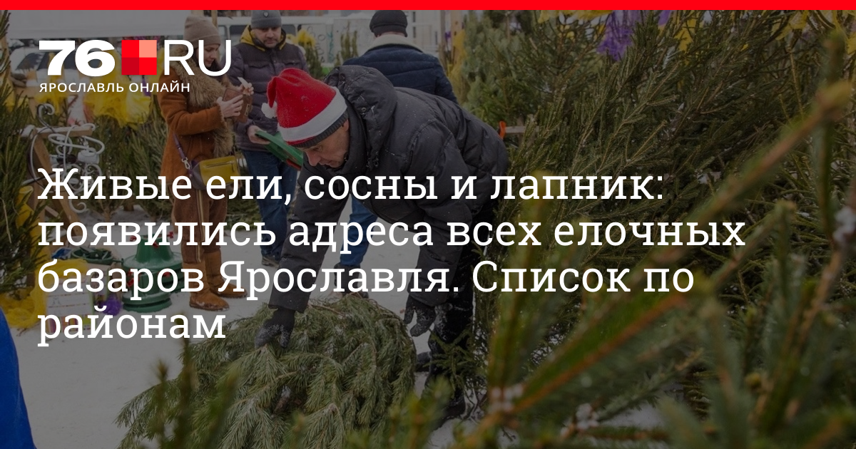 Купить елку в Ярославле: где можно купить новогоднюю ель в Ярославле ...