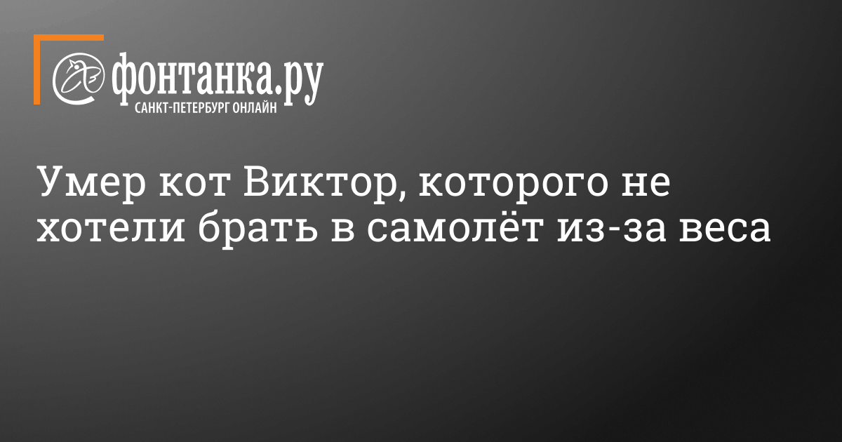 Как правильно похоронить кота?