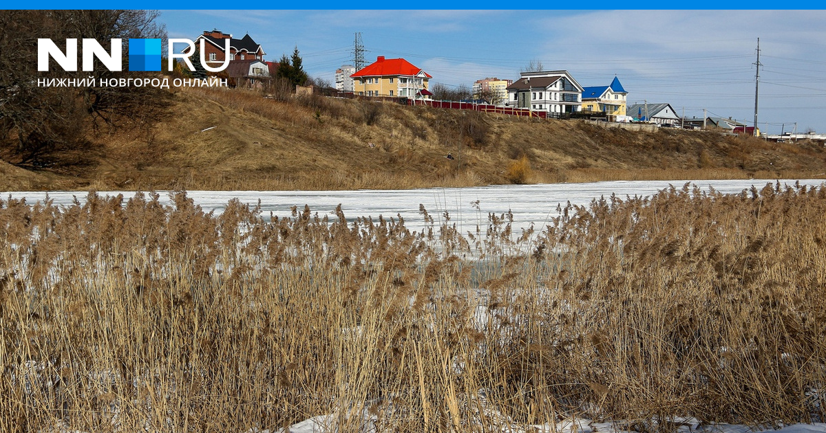 Дер. Карты для металлоискателей. Новоторъяльский район марий эл на карте. Пушкино московской области с улицами. Карты современных деревень.