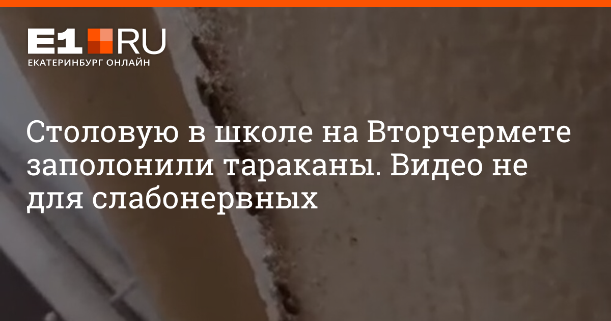 Столовую в школе на Вторчермете в Екатеринбурге заполонили тараканы