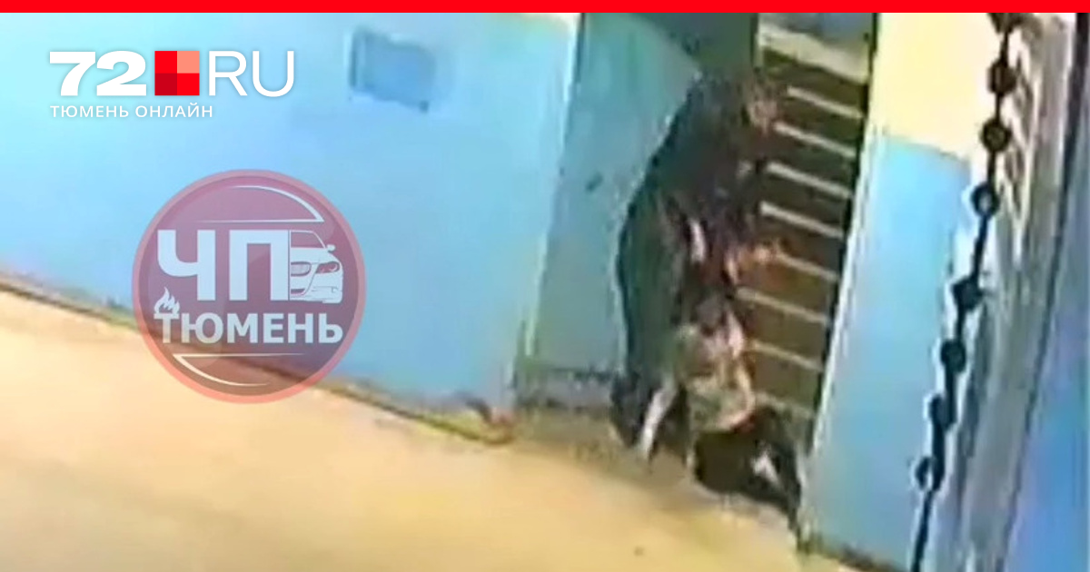 Драка за девушку будущую все пошло не по плану