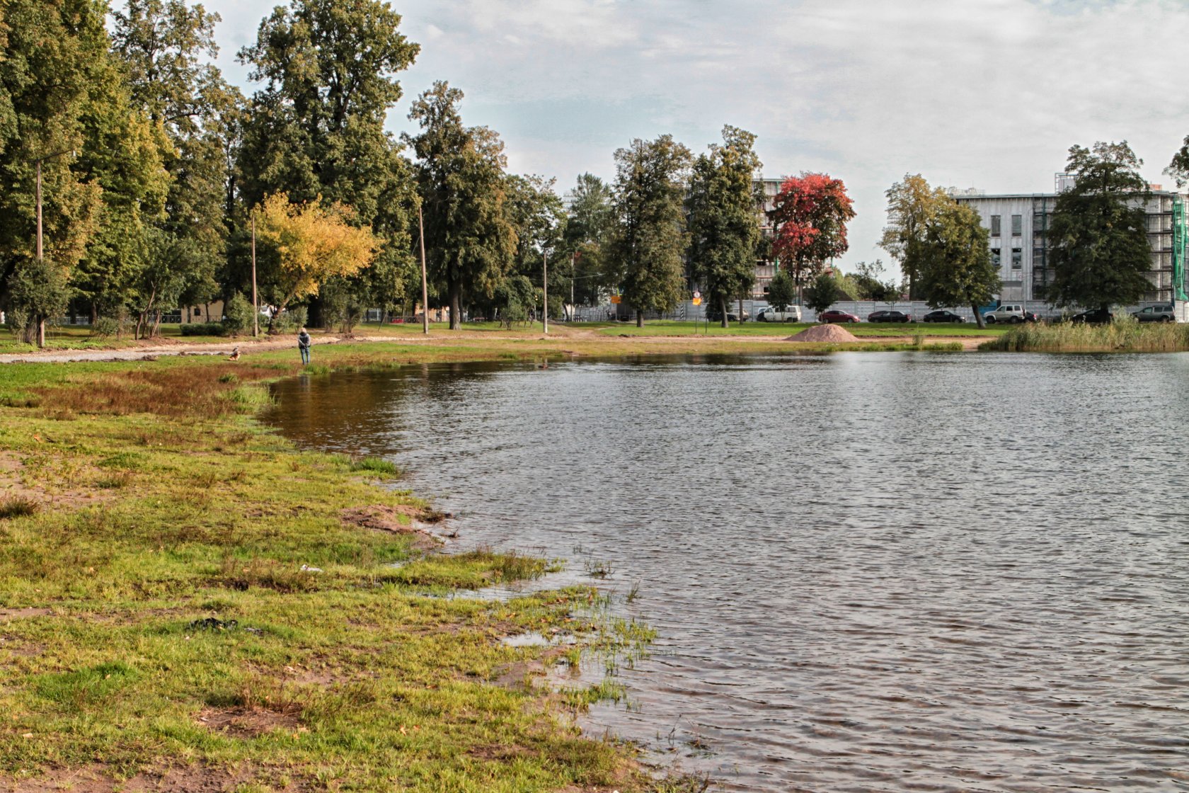 парк в с петровском