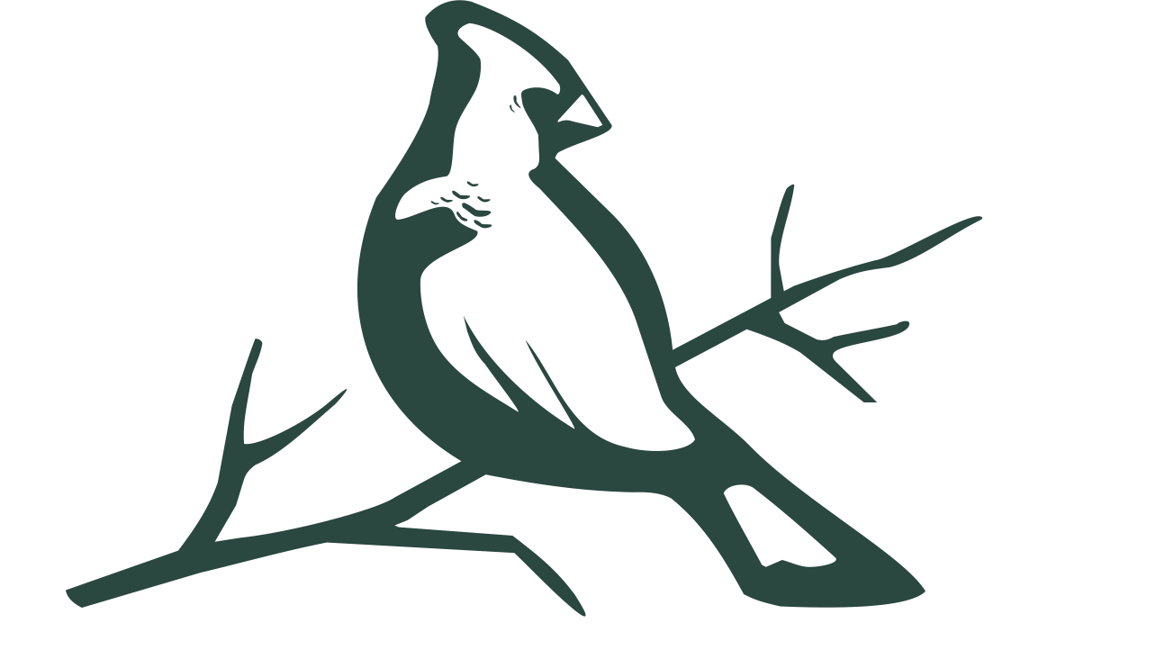 Академия спорта привилегия челябинск