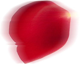 Гос номерной знак автомобиля размер. Размер квадратного номерного знака. Двадцать пять 25. 25 шрифт. Регистрационный номерной знак.