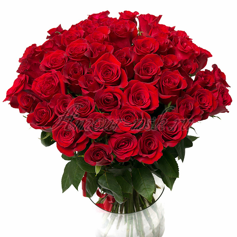 Букет из <b>51 розы (50, 60, 70 см):</b> 2900 / 3500 / 3900 руб.