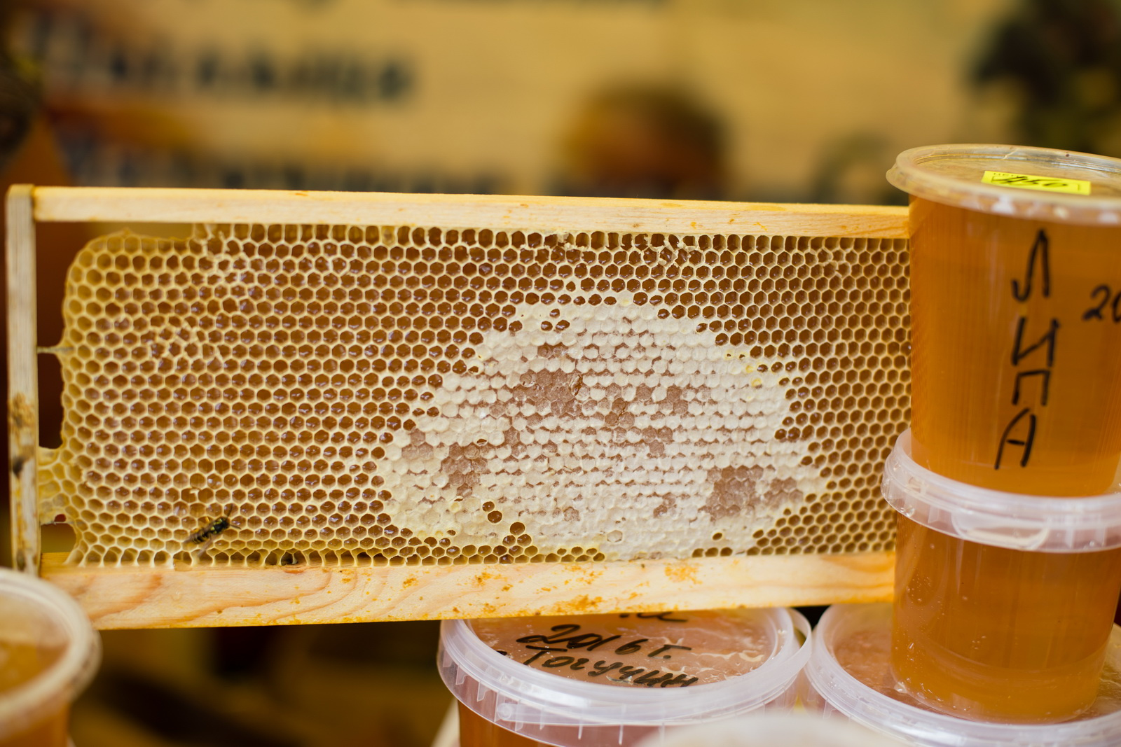Каждые выходные ярмарку отборного меда посещают эксперты по пчеловодству, среди которых профессор В.Г. Кашковский, В.Н. Киселев и другие члены общества пчеловодов НСО. У эксперта можно получить бесплатную консультацию при выборе нужного сорта меда.