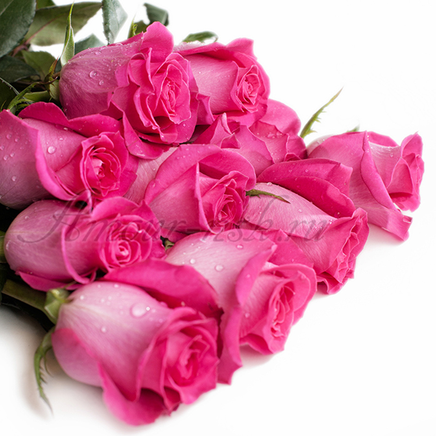 <b>Роза «Топаз»</b>: 60 см — <b>70 руб.</b>; 70 см — <b>80 руб.</b>