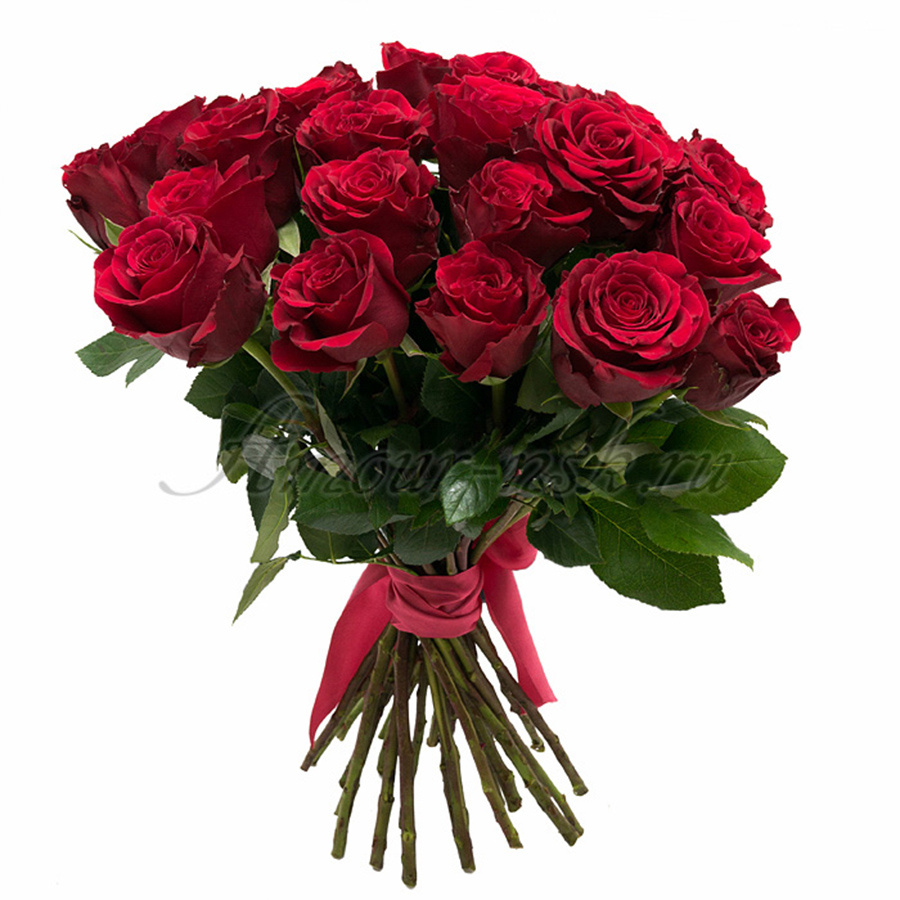 Букет 25 роз «Кения»: <b>40 см – 1010 руб.</b> (на фото), 50 см — <b>1250 руб.</b>